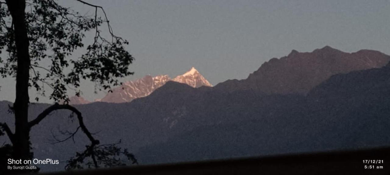 Log Cabin In The Woods Bed & Breakfast Gangtok Bagian luar foto