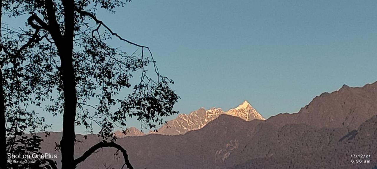 Log Cabin In The Woods Bed & Breakfast Gangtok Bagian luar foto